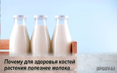 Почему для здоровья костей растения полезнее молока