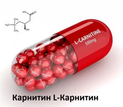 Биосинтез L-карнитина и его назначение