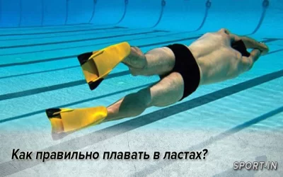 Как правильно плавать в ластах?